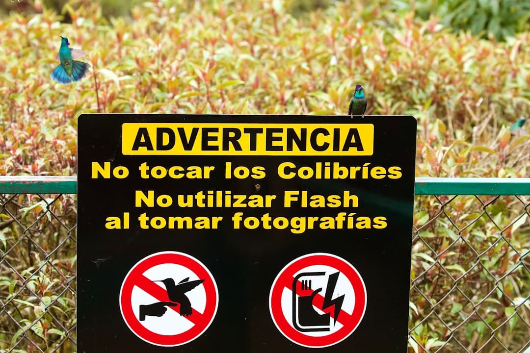 Why My Friend Is Colombian and I Love How He Talks Is Not Research