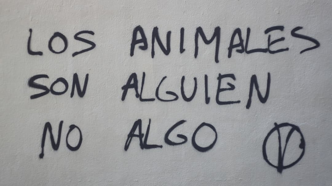 ¿Puede un Locutor Argentino Sonar Neutro? Sí Pero Requiere