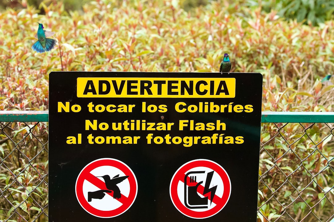 Investigación anecdótica acento español publicidad error en proceso de casting